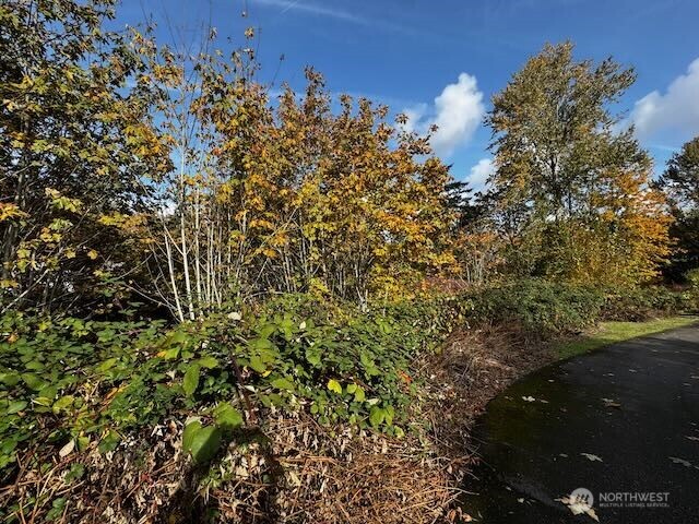 0 Military Road South Seattle, WA 98198 - Photo 4 of 10 a picture of a tree
