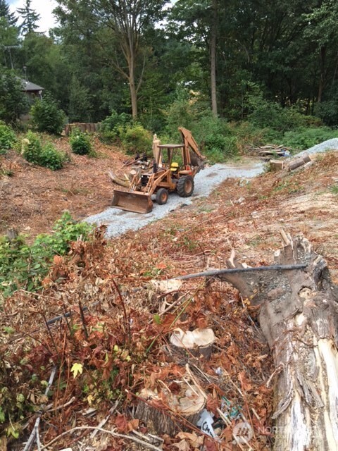 0 Military Road South Seattle, WA 98198 - Photo 6 of 10 a view of a park with large trees