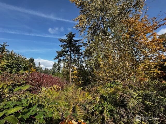 0 Military Road South Seattle, WA 98198 - Photo 7 of 10 a view of a plant in a garden