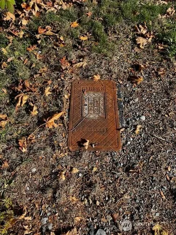 a sign that is sitting in front of a tree