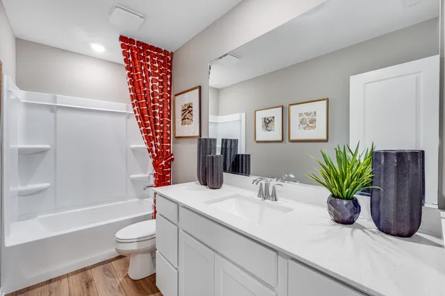 a bathroom with a potted plant on the counter and a shower