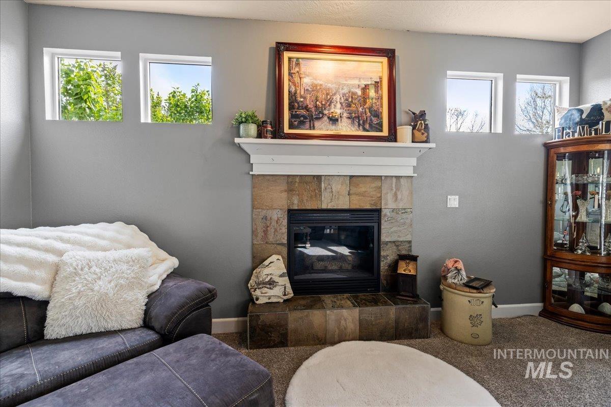 1063 West Hitchcock Street Meridian, ID 83646 - Photo 10 of 50 Living room with carpet flooring and a fireplace