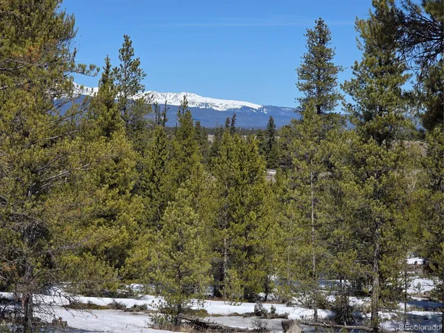 $100,000 | 20 & 29 Twin Lakes, Leadville, CO 80461