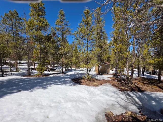 $100,000 | 20 & 29 Twin Lakes, Leadville, CO 80461