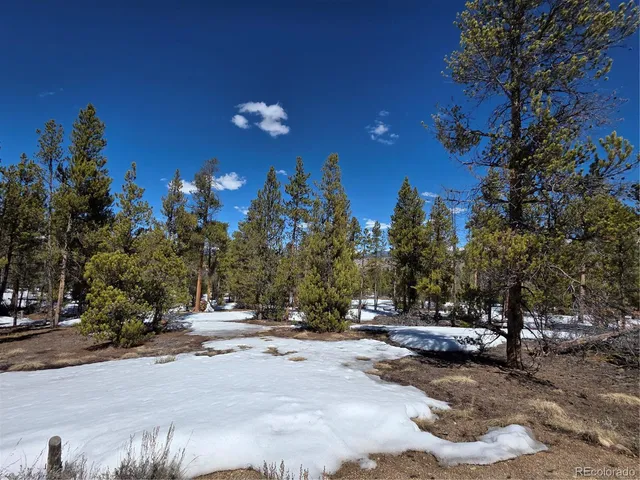 $100,000 | 20 & 29 Twin Lakes, Leadville, CO 80461