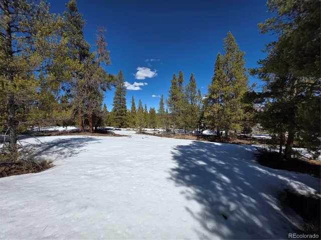 $100,000 | 20 & 29 Twin Lakes, Leadville, CO 80461