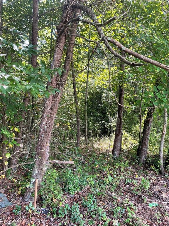 Tbd Dillard Road Hays, NC 28635 - Photo 3 of 3 Gallery Image 3