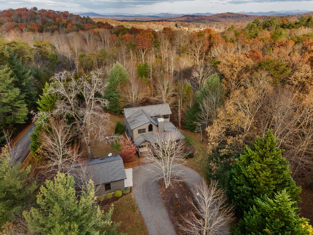 19 Chestnut Hills Lane Blue Ridge, GA 30513 - Photo 50 of 57 Gallery Image 50