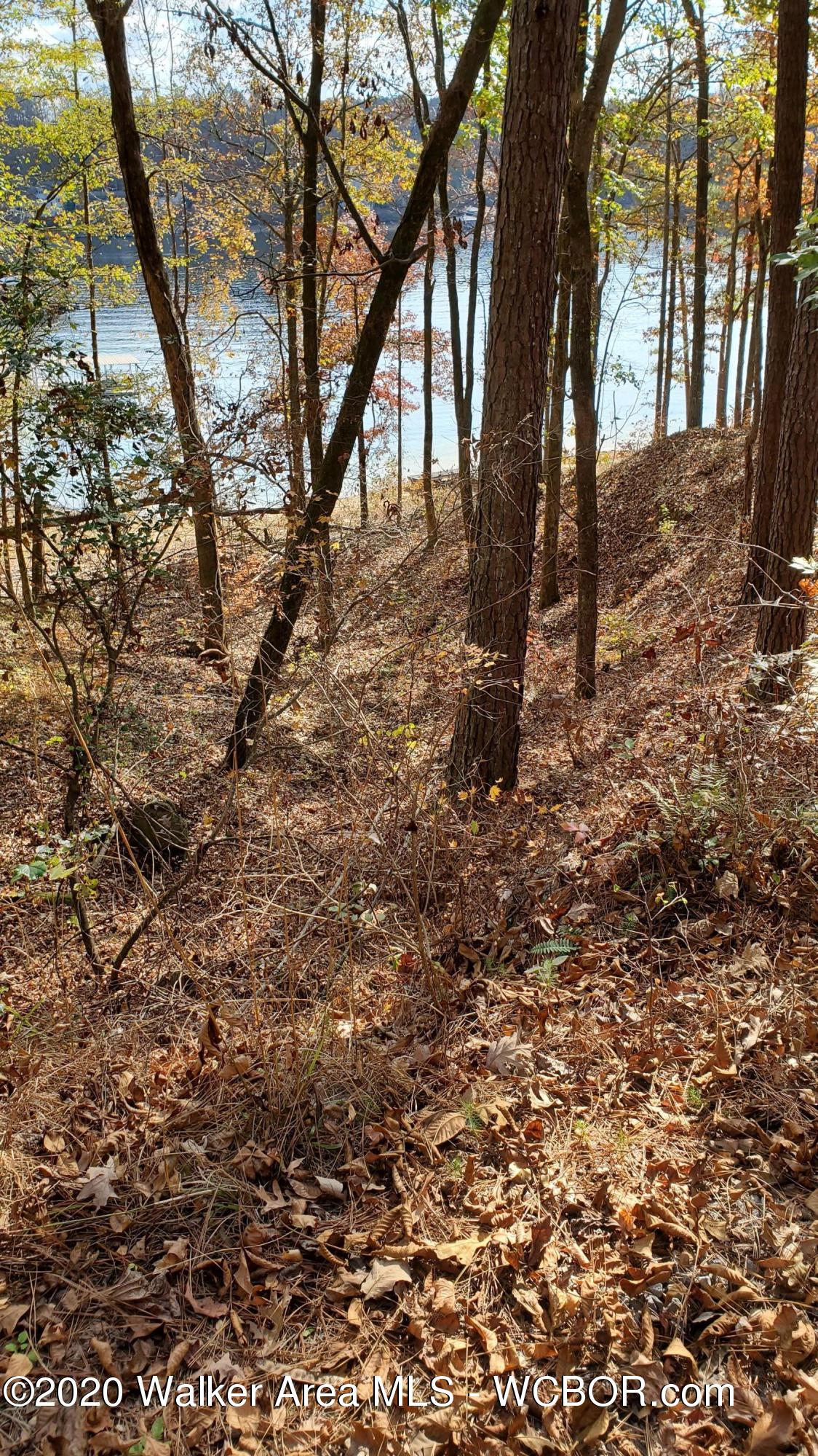 106 Co Road Logan, AL 35098 - Photo 3 of 3 Gallery Image 3
