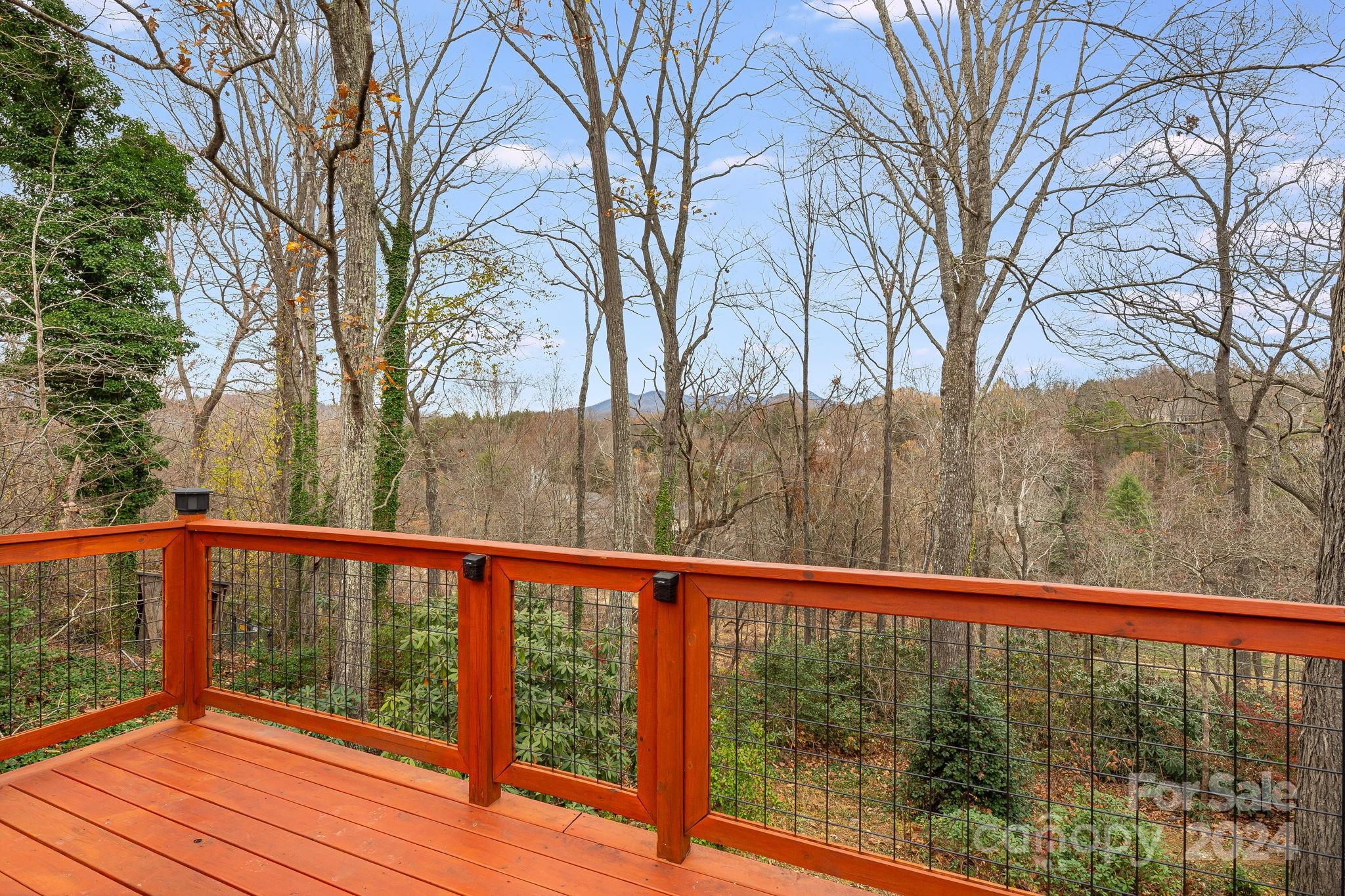 92 Botany Drive Asheville, NC 28805 - Photo 30 of 32