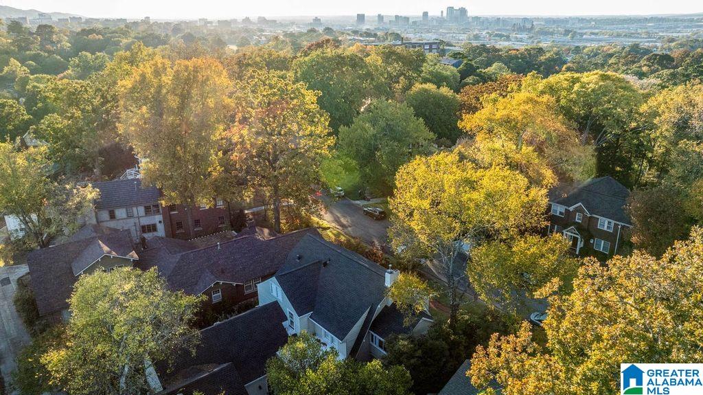 4319 Overlook Road Birmingham, AL 35222 - Photo 4 of 38