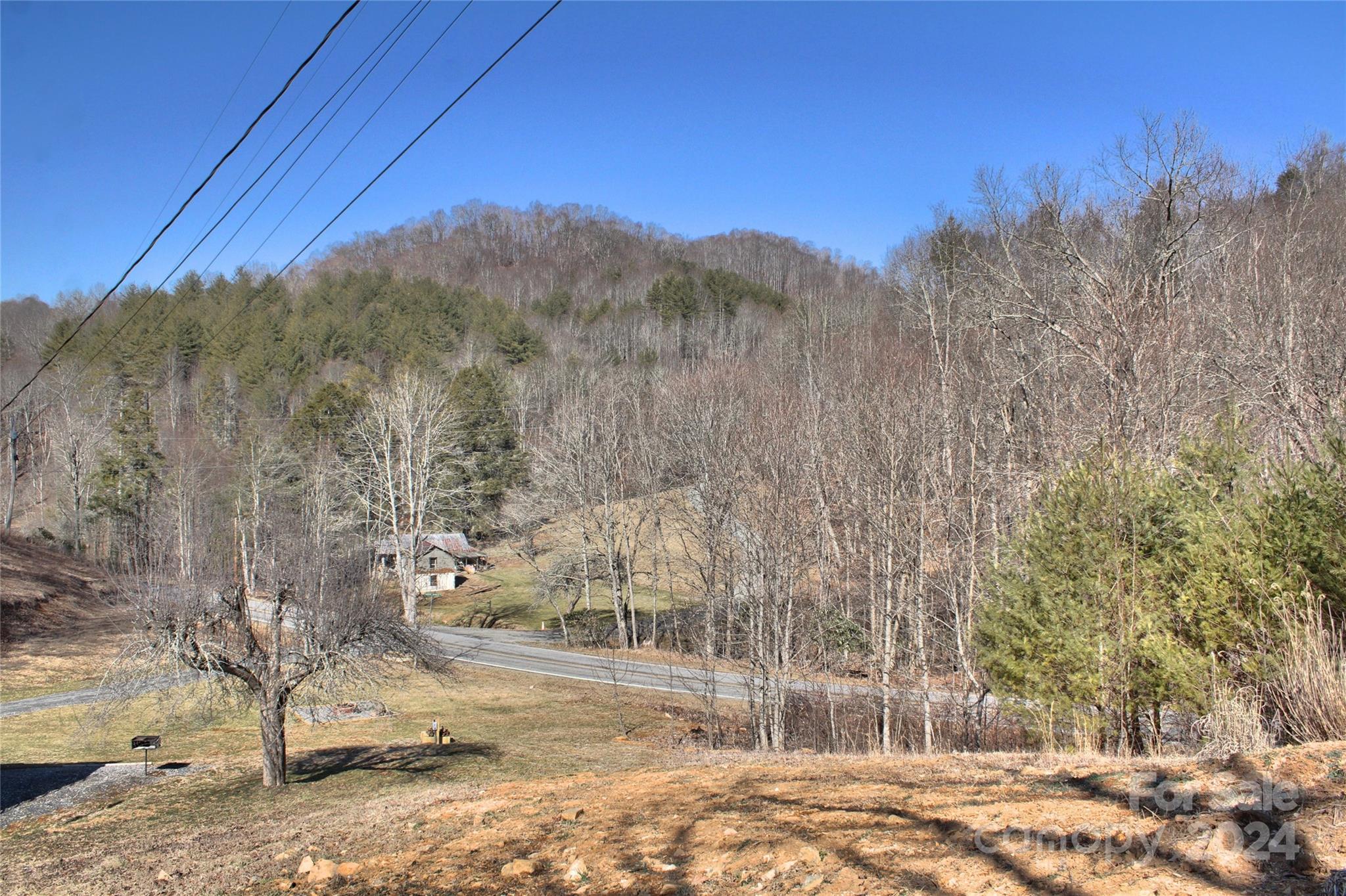 3280 Laurel Valley Road Mars Hill, NC 28754 - Photo 19 of 21 a view of a yard