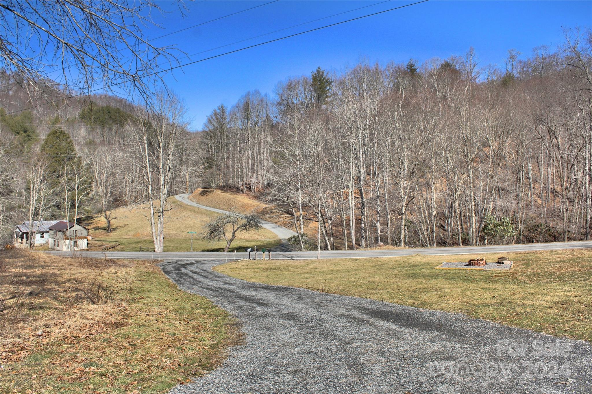 3280 Laurel Valley Road Mars Hill, NC 28754 - Photo 7 of 21 a view of a dry yard with trees
