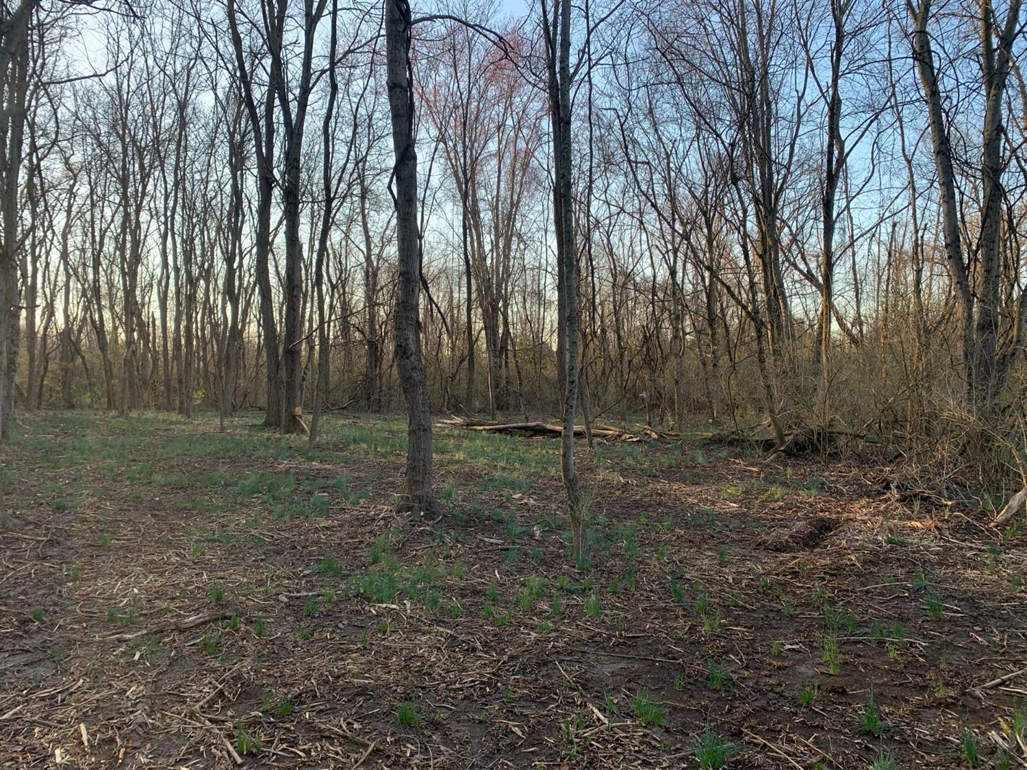 10155 Collins-Riley Road Blanchester, OH 45107 - Photo 1 of 16