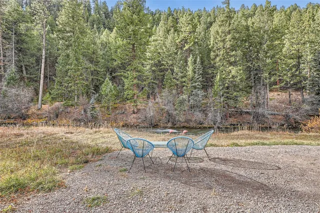 $1,150,000 | 55 Iron Horse Lane, Bailey, CO 80421