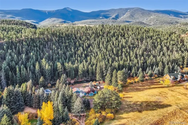 $1,150,000 | 55 Iron Horse Lane, Bailey, CO 80421
