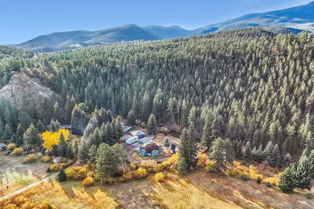 $1,150,000 | 55 Iron Horse Lane, Bailey, CO 80421