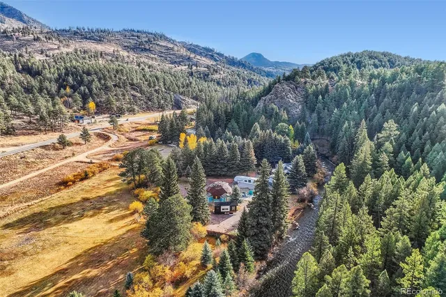 $1,150,000 | 55 Iron Horse Lane, Bailey, CO 80421