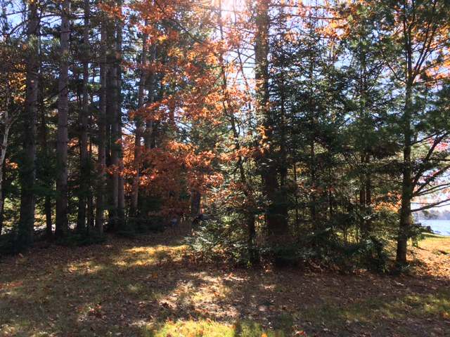 On East Lake George Road Rhinelander, WI 54501 - Photo 5 of 16 Gallery Image 5