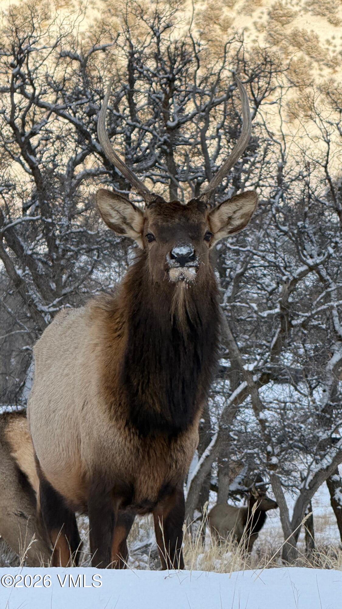 481 Hunters View Lane Eagle, CO 81631 - Photo 11 of 33 5cf1c29c-1335-4b9a-96da-521ba3466d36