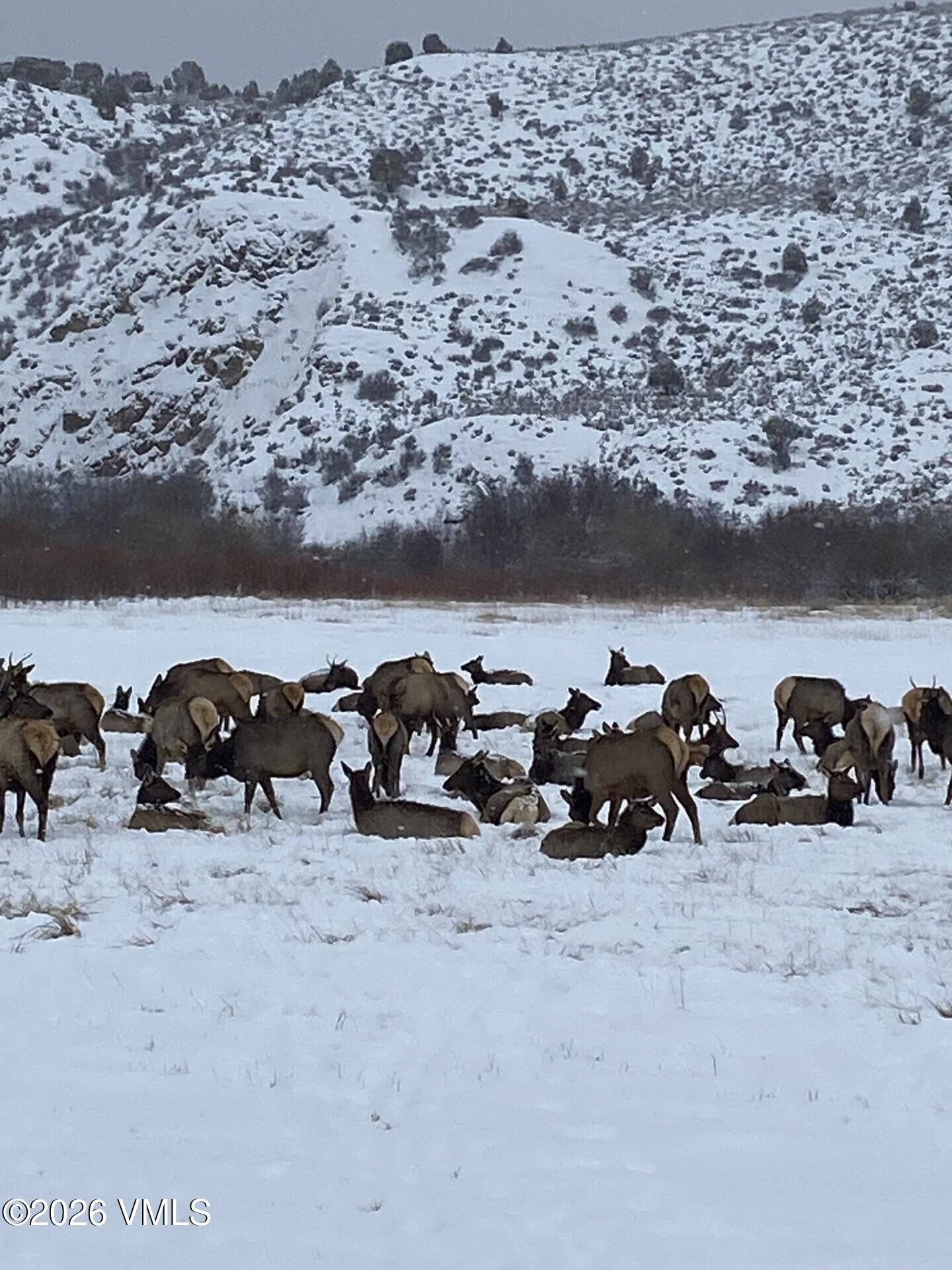 481 Hunters View Lane Eagle, CO 81631 - Photo 12 of 33 37351ff6-91d2-4bd8-b1ca-db248ad1c97f