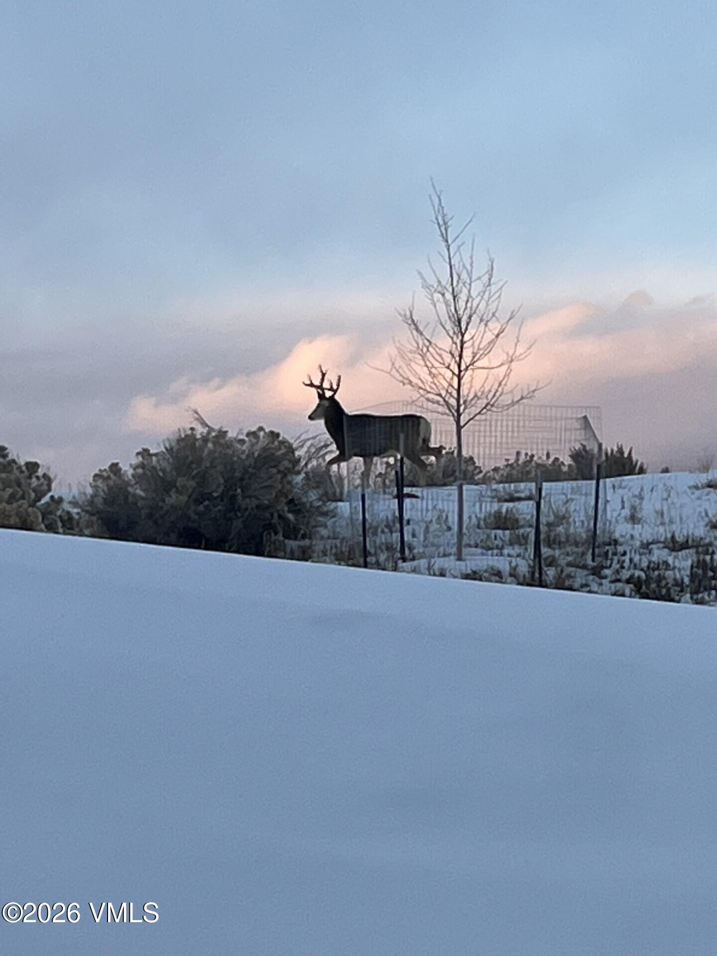 481 Hunters View Lane Eagle, CO 81631 - Photo 3 of 33 Elk Roaming in your Backyard