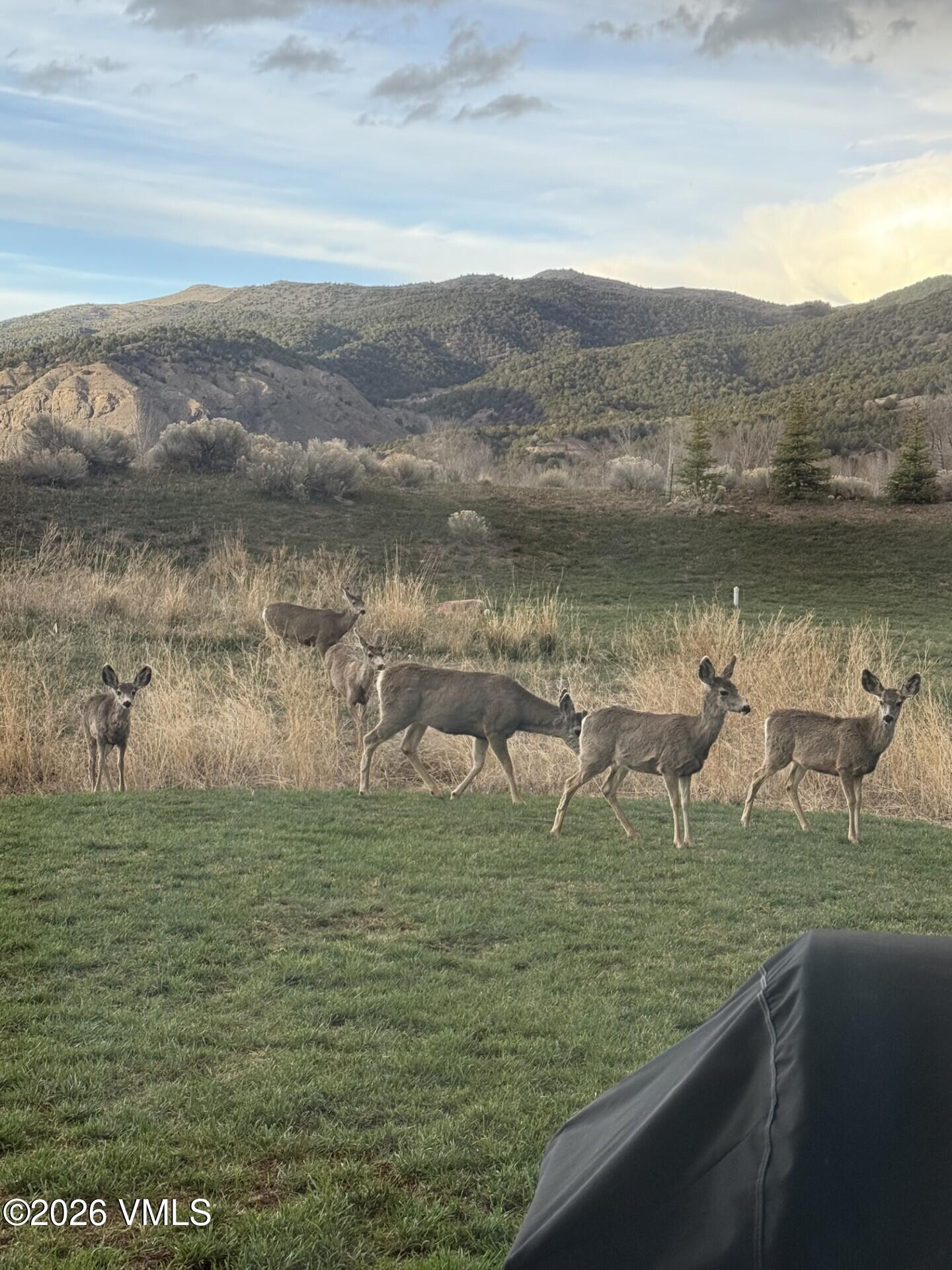 481 Hunters View Lane Eagle, CO 81631 - Photo 10 of 33 44de788d-9257-4280-a2bd-1f0b9472ebc7