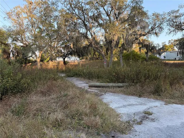 a view of a yard with a tree