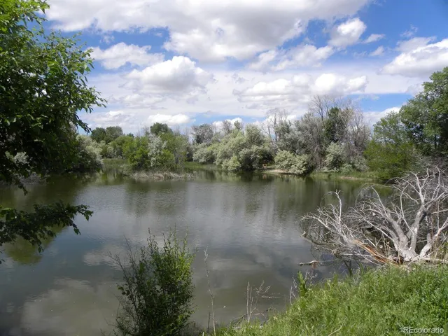 a view of a back yard