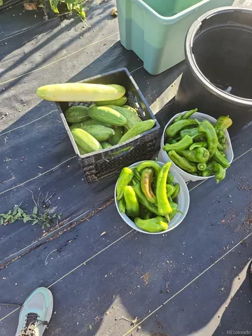a view of a swimming pool in a backyard