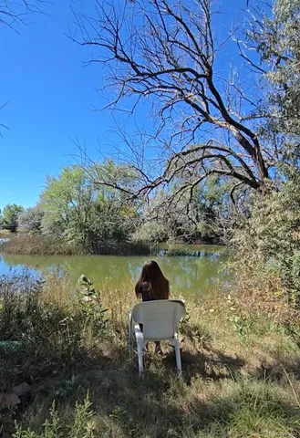 a lake view with a bench