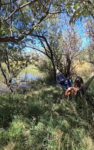 a view of a tree in a garden