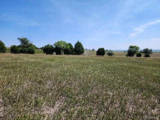 a view of a green field with sitting area