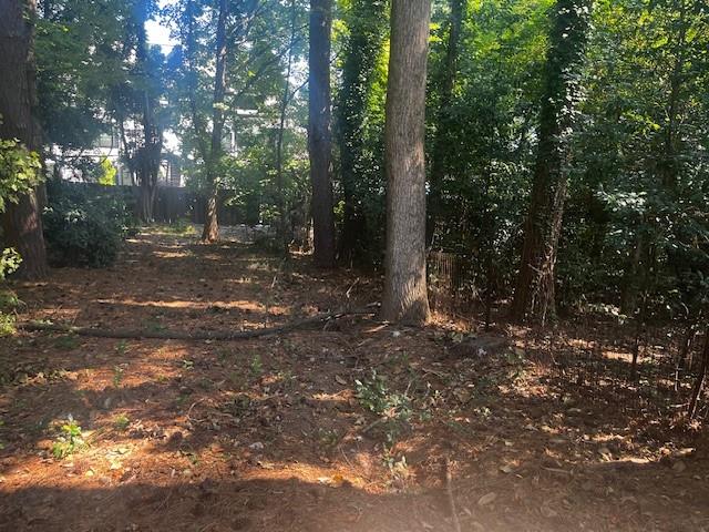 564 Wimbledon Road Northeast Atlanta, GA 30324 - Photo 17 of 21