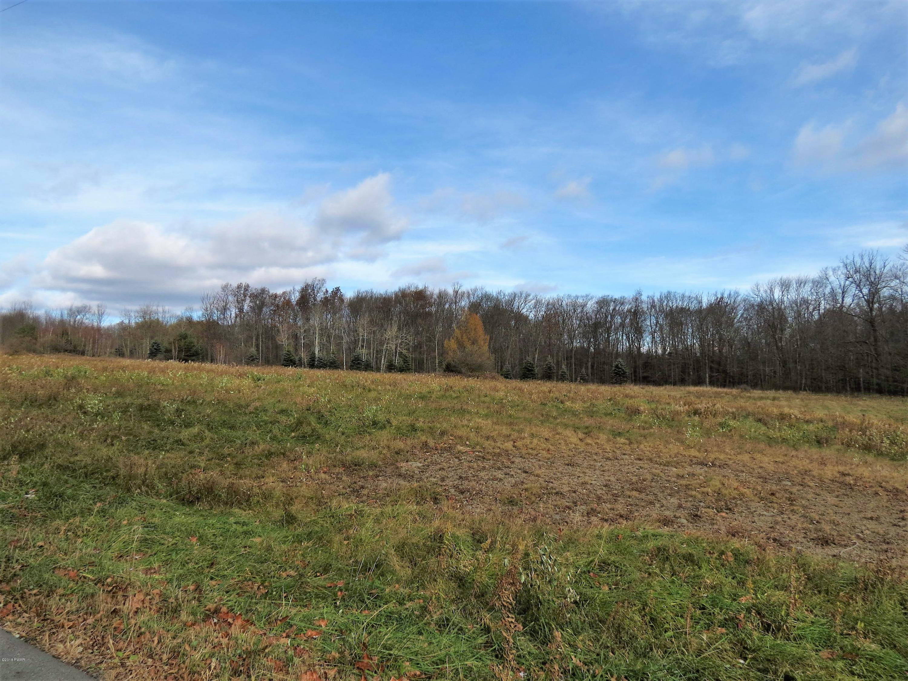 Lot 1 Butternut Road Sterling, PA 18463 - Photo 1 of 7