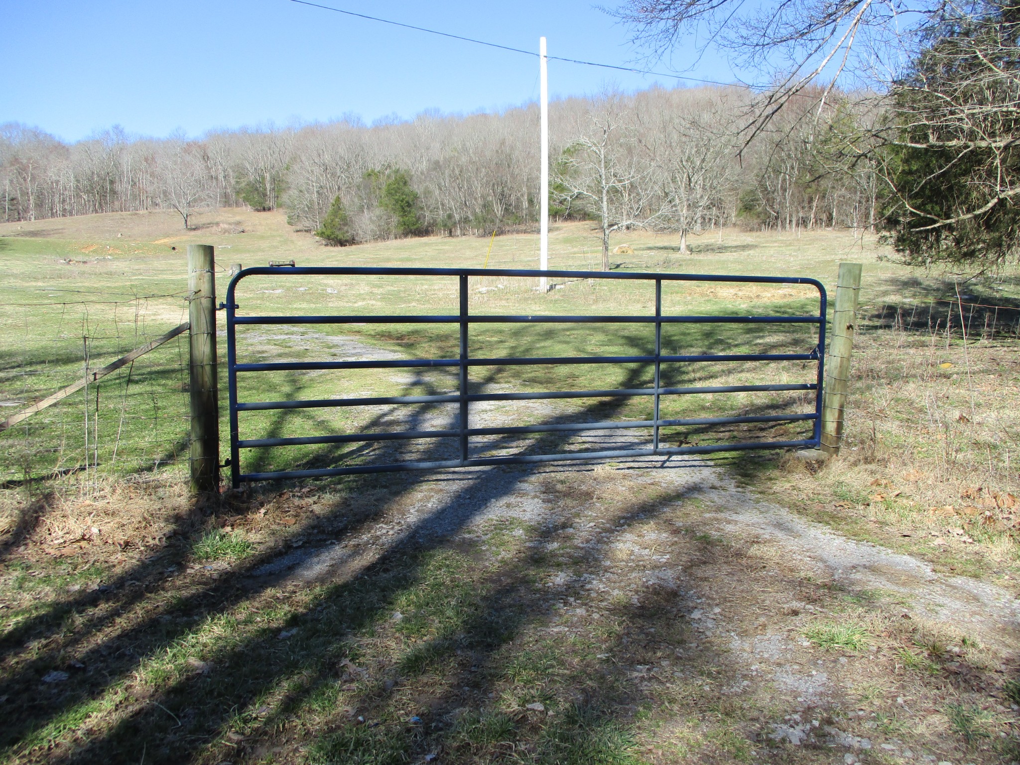 a view of a bench in a yard