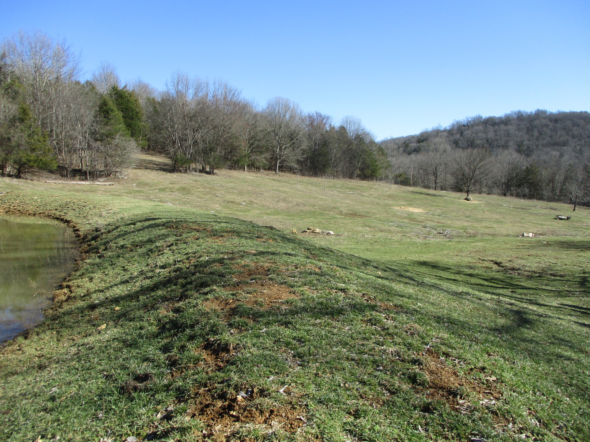 3800 Patton Hollow Road Watertown, TN 37184 - Photo 11 of 19 a view of a field with an ocean space