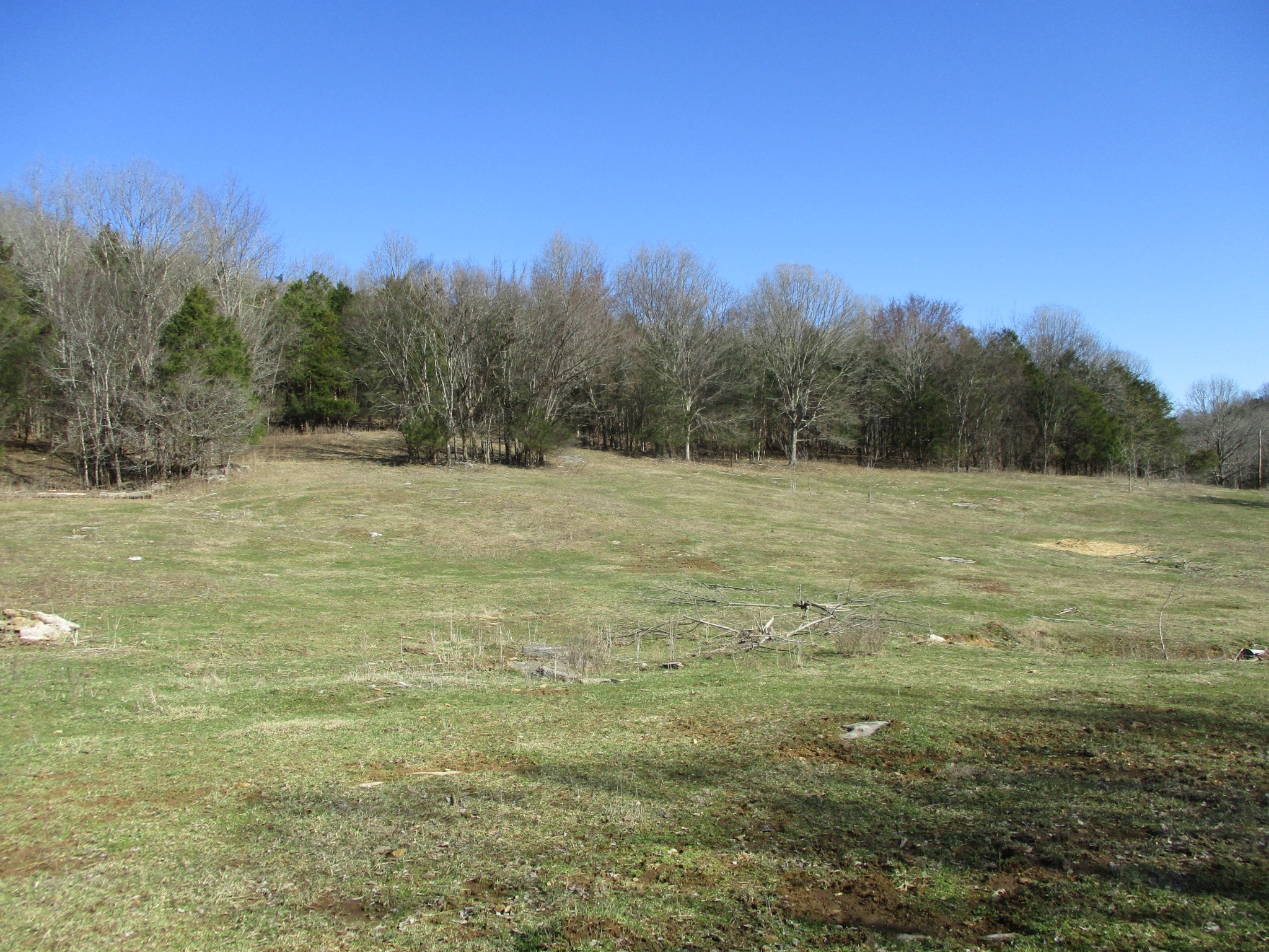 3800 Patton Hollow Road Watertown, TN 37184 - Photo 12 of 19 a view of a field with an ocean