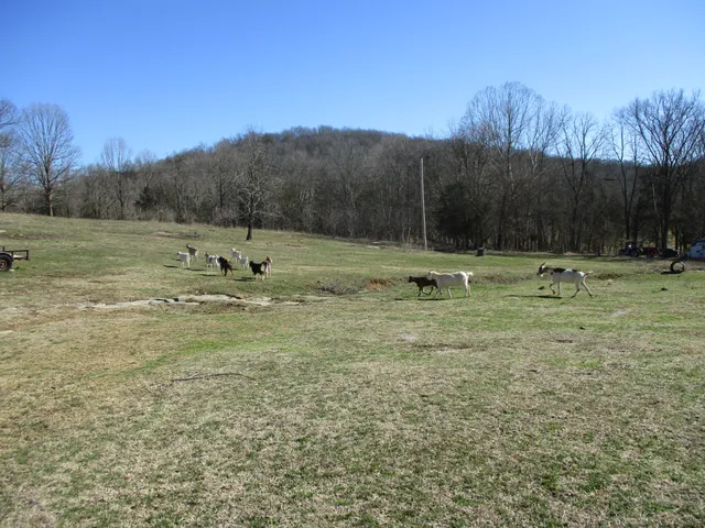a view of outdoor space with ocean view