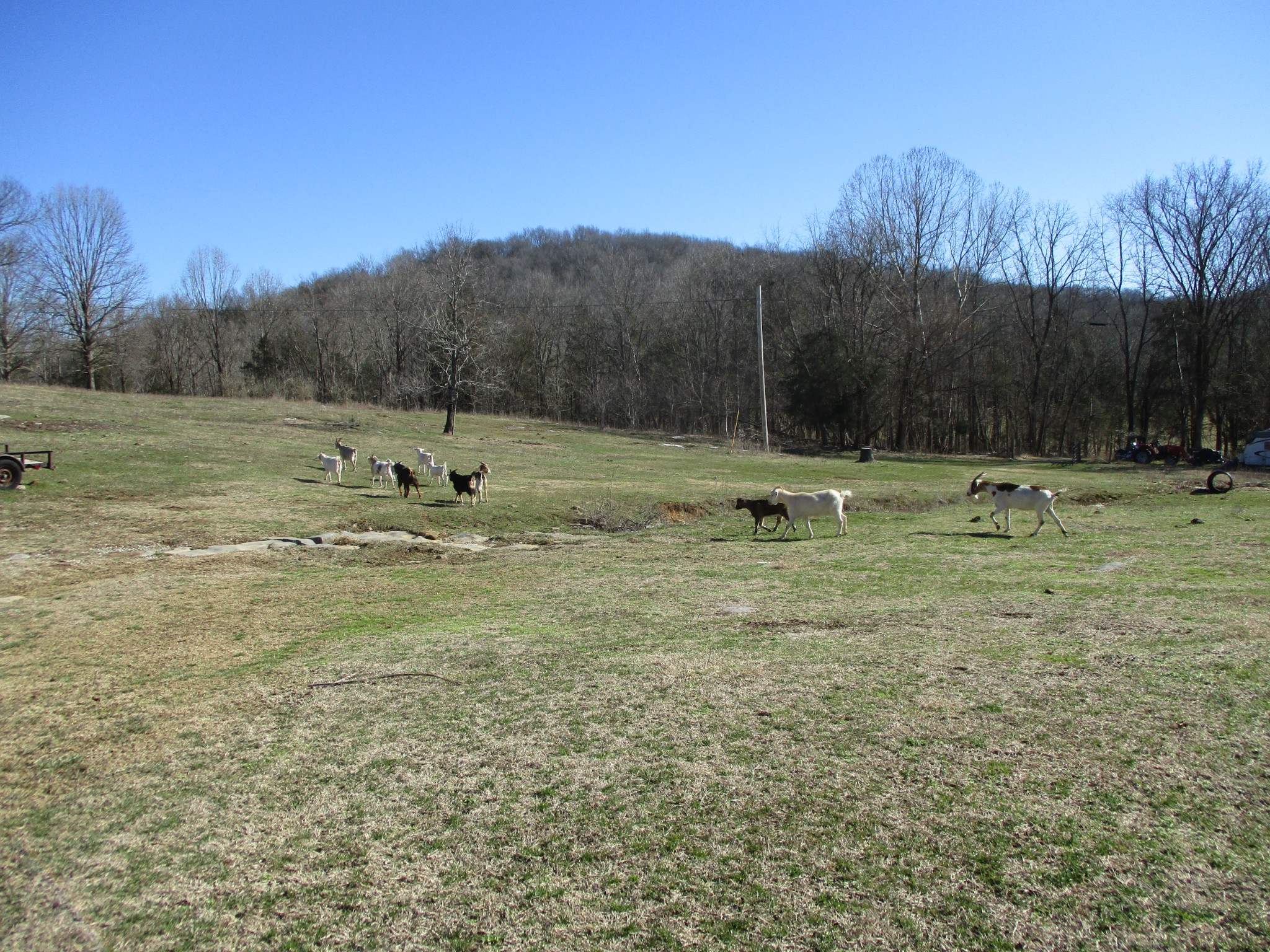 3800 Patton Hollow Road Watertown, TN 37184 - Photo 13 of 19 a view of outdoor space with ocean view
