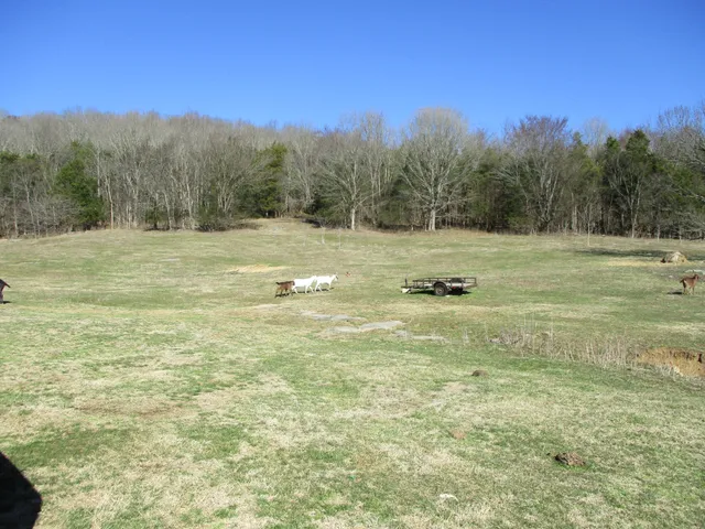 a view of field with trees in the background