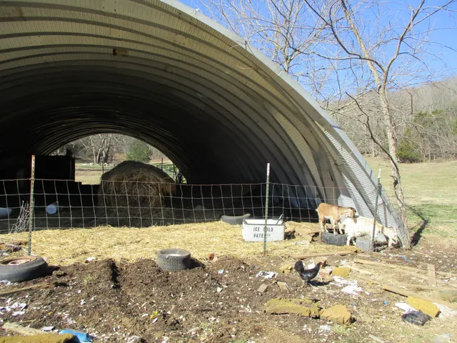 a view of yard covered with snow