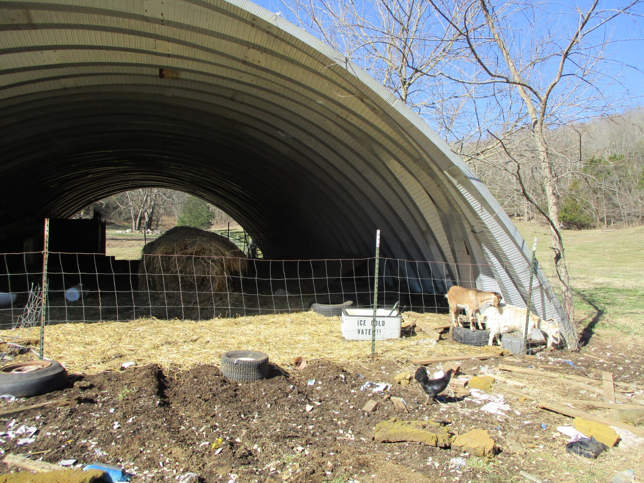 3800 Patton Hollow Road Watertown, TN 37184 - Photo 16 of 19 a view of yard covered with snow