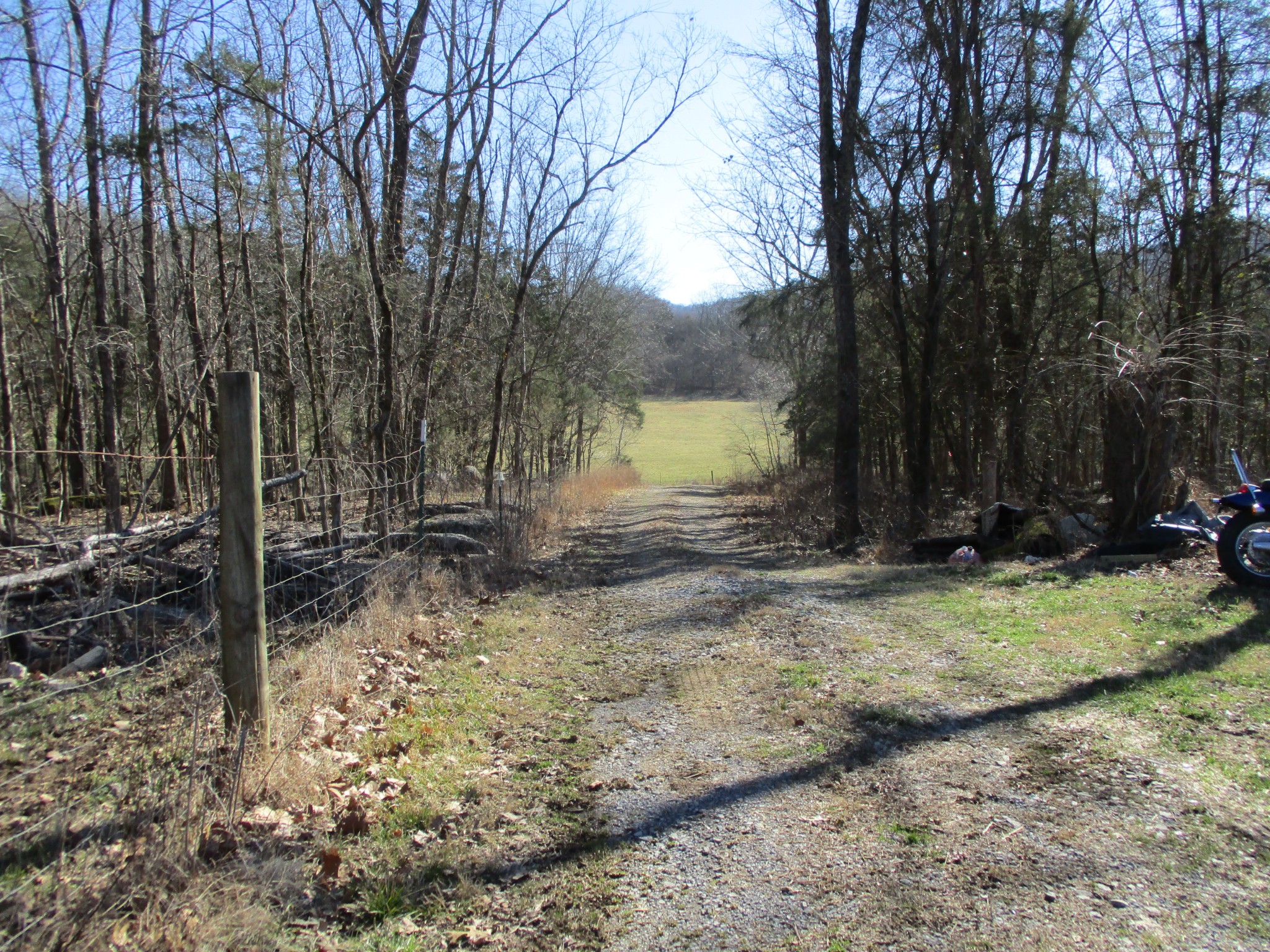 3800 Patton Hollow Road Watertown, TN 37184 - Photo 19 of 19 a view of backyard with green space