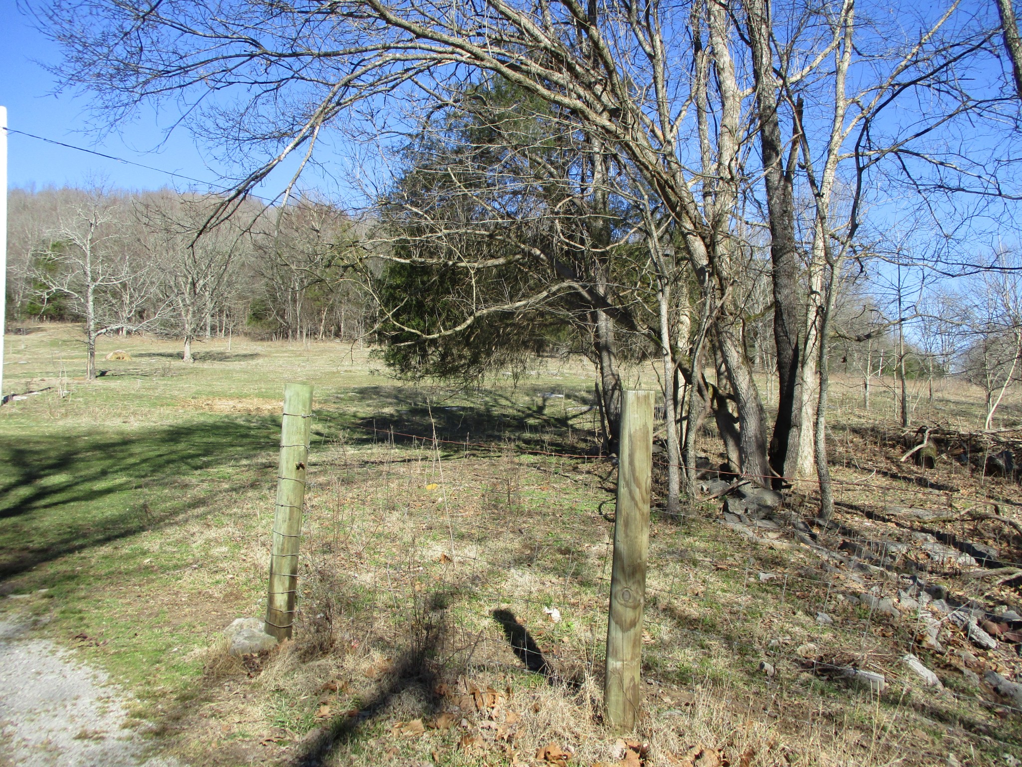 3800 Patton Hollow Road Watertown, TN 37184 - Photo 3 of 19 a view of a yard