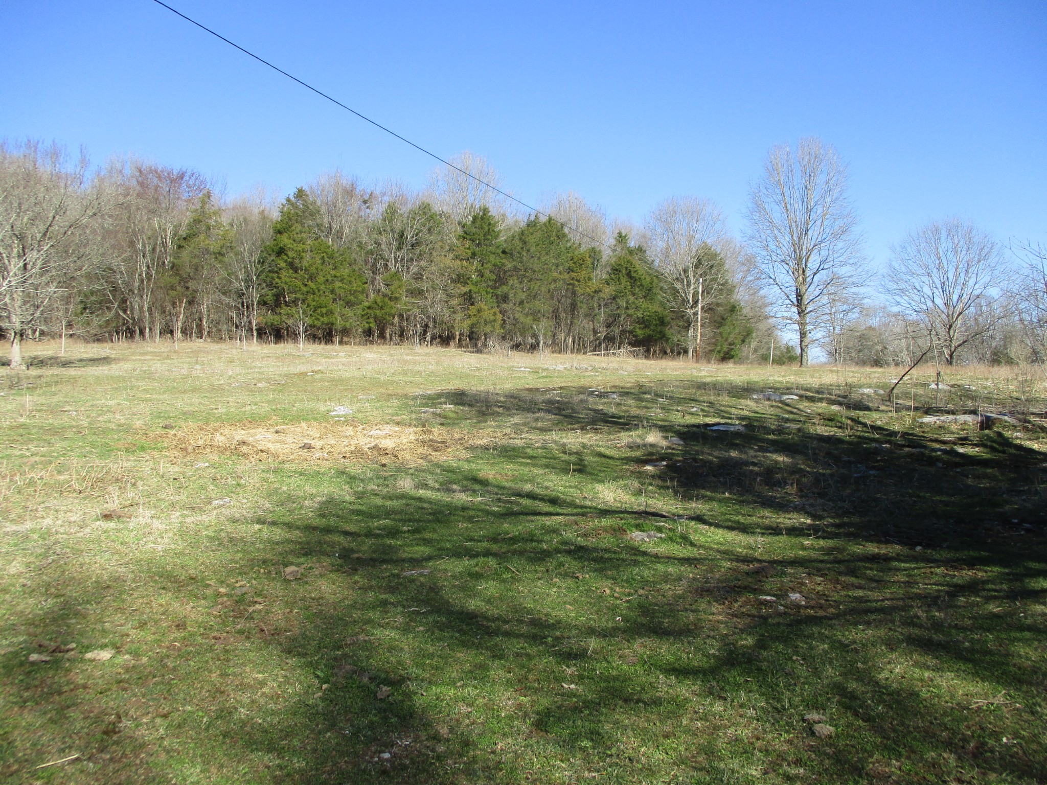 3800 Patton Hollow Road Watertown, TN 37184 - Photo 4 of 19 a view of a field with an trees