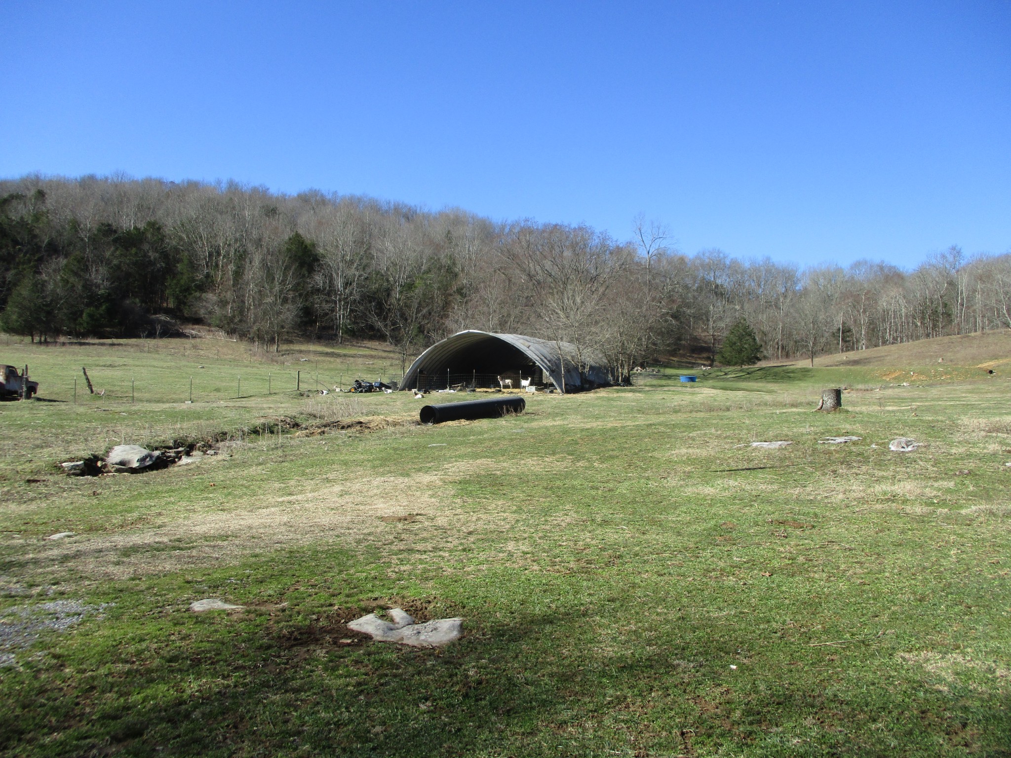 3800 Patton Hollow Road Watertown, TN 37184 - Photo 5 of 19 a view of a field with an trees