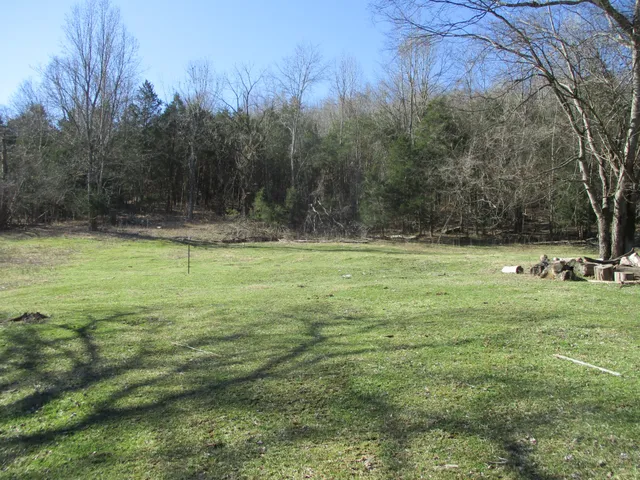 a view of a green yard
