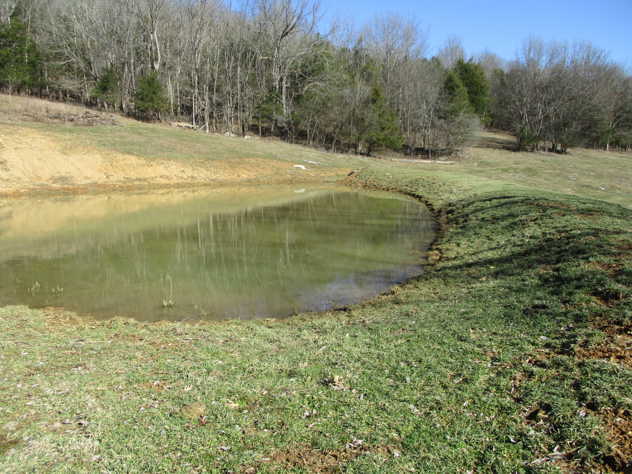 3800 Patton Hollow Road Watertown, TN 37184 - Photo 7 of 19 a view of a yard with a fountain