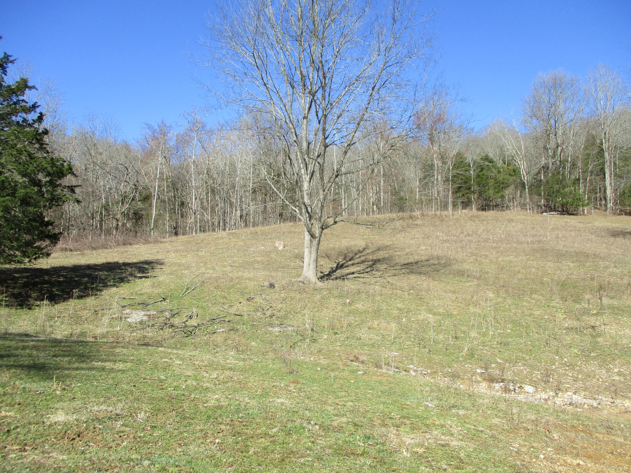 3800 Patton Hollow Road Watertown, TN 37184 - Photo 10 of 19 a view of dirt yard
